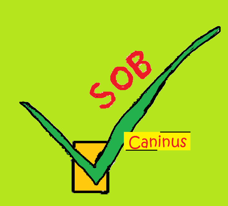 caninus